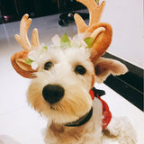 Hat Pet Dog Cat Christmas Cosplay Head wear Christmas Elk Reindeer Antlers headband Hat Apparel New Pet Xmas Headband