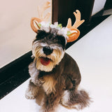 Hat Pet Dog Cat Christmas Cosplay Head wear Christmas Elk Reindeer Antlers headband Hat Apparel New Pet Xmas Headband