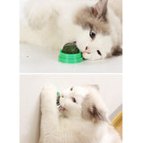 Healthy Cat Toys Natural Non-toxic Catnip Toys For Cats Crazy  For Edible Treat Cleaning Teeth