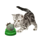 Healthy Cat Toys Natural Non-toxic Catnip Toys For Cats Crazy  For Edible Treat Cleaning Teeth