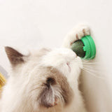 Healthy Cat Toys Natural Non-toxic Catnip Toys For Cats Crazy  For Edible Treat Cleaning Teeth