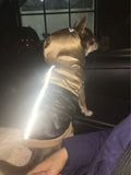 NEW Waterproof Dog Jacket Coats Reflective Pet Chihuahua Clothes Dring Vest Warm Small Medium Dog Parkas Puppy Jacket XS to XXL