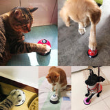 Neue Pet Anruf Glocke Spielzeug für Hund Fütterung Ringer Pet IQ Training Squeak Interaktive Belling Spielzeug Katze Kätzchen Welpen Lebensmittel feed Erinnerung - app80