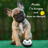 Neue Pet Anruf Glocke Spielzeug für Hund Fütterung Ringer Pet IQ Training Squeak Interaktive Belling Spielzeug Katze Kätzchen Welpen Lebensmittel feed Erinnerung - app80