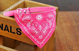 New Lovely Pet Dog Scarf Collar Adjustable Puppy Bandana Quality Pet Cat Tie Collar free shipping 1Pc