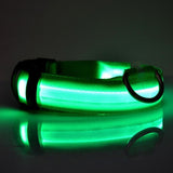 ssss  Night Safety Flashing Glow In The Dark Dog Leash,Nylon LED Pet Dog Collar,Dogs Luminous Fluorescent Collars Pet Supplies