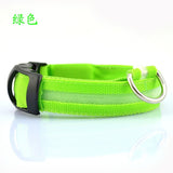 ssss  Night Safety Flashing Glow In The Dark Dog Leash,Nylon LED Pet Dog Collar,Dogs Luminous Fluorescent Collars Pet Supplies