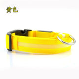 ssss  Night Safety Flashing Glow In The Dark Dog Leash,Nylon LED Pet Dog Collar,Dogs Luminous Fluorescent Collars Pet Supplies