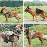 Nylon Dog Leash Bungee Elastic Pet Dog Leashes Tactical Dog Training Leash Safety Two Handle Rope For Small And Large Dogs