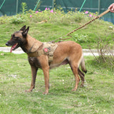 Nylon Heavy Duty Pet Dog Harness Collar Reflective Dog Tape Breathable Mesh Pet Dogs Leash Harness Dog Collar Accessories