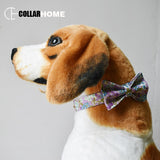 Nylon free engrave name ID bow dog collar leash for big small dog collar with gold metal buckle bow tie pet collar leash straps