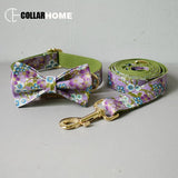 Nylon free engrave name ID bow dog collar leash for big small dog collar with gold metal buckle bow tie pet collar leash straps