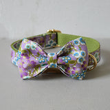Nylon free engrave name ID bow dog collar leash for big small dog collar with gold metal buckle bow tie pet collar leash straps