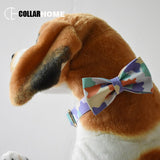 Nylon soft self-designed dog collar with bow tie walking dog rope training pet collar traction straps pet products good quality