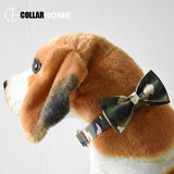 Personalized nylon bow tie dog collar leash bowknot custom Labrador dog collar pet straps products training engraved dog collar