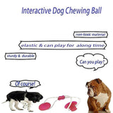 Pet Cats Dogs Interactive Suction Cup Push TPR Ball Toys Elastic Ropes Pet Tooth Cleaning Chewing Playing IQ Treat Puppy Toys