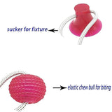 Pet Cats Dogs Interactive Suction Cup Push TPR Ball Toys Elastic Ropes Pet Tooth Cleaning Chewing Playing IQ Treat Puppy Toys