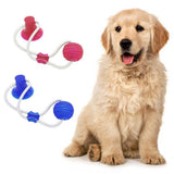 Pet Cats Dogs Interactive Suction Cup Push TPR Ball Toys Elastic Ropes Pet Tooth Cleaning Chewing Playing IQ Treat Puppy Toys