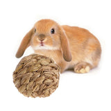 Pet Chew Toy Natural Grass Ball with Bell for Rabbit Hamster Guinea Pig Tooth Cleaning