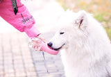 Pet Dog Fedding Bottle 350ml  Food Grade Plastic Outdoor Travel Portable Pet Dog Cat Drinking Water Bottle Tool 3 Color