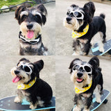 Pet Dog Foldable Sunglasses Medium Large Dog Glasses Big Pet Eyewear Dog Sunglasses Pet Products Supplies Outdoor