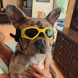 Pet Dog Foldable Sunglasses Medium Large Dog Glasses Big Pet Eyewear Dog Sunglasses Pet Products Supplies Outdoor