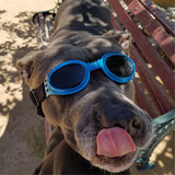 Pet Goggles Dog Sunglasses Colorful UV Eyewear Protection with Adjustable Strap for Big Dogs Waterproof and Windproof