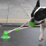 Pet Toys with Suction Cup Dog Push Toy with TPR Ball Pet Tooth Cleaning Chewing Rubber Dog Toys for Small Dogs Rubber Dog Toy