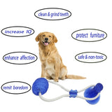 Pet Toys with Suction Cup Dog Push Toy with TPR Ball Pet Tooth Cleaning Chewing Rubber Dog Toys for Small Dogs Rubber Dog Toy