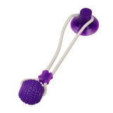 Pet Toys with Suction Cup Dog Push Toy with TPR Ball Pet Tooth Cleaning Chewing Rubber Dog Toys for Small Dogs Rubber Dog Toy