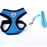 Pet dog cat lead chest strap small pet adjustable pet supplies