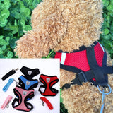 Pet dog cat lead chest strap small pet adjustable pet supplies