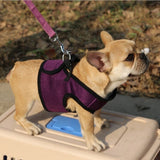 Pet pull rope chest back cover dog pull chest back handle adjustable