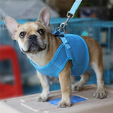 Pet pull rope chest back cover dog pull chest back handle adjustable