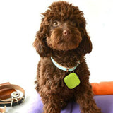 Pets Smart Mini GPS Tracker Anti-Lost Waterproof Bluetooth Tracer Keys Alarm square Locator Realtime Finder Device Equipment