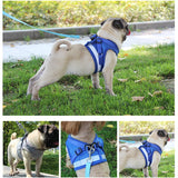 Reflective Safety Pet Dog Harness and Leash Set for Small Medium Dogs Cat Harnesses Vest Puppy Chest Strap Pug Chihuahua Bulldog