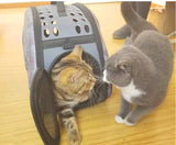 ssss  Slings Pet Travel Carrier Small Dogs and Cats Bag Folding Portable Outdoor Carrier Pet Bag Transportin Rets Sleeping Backpack
