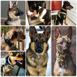 Soft Nylon Dog Collar Dog Neck Tactical Training Collar Pet Military Collar Dog Police Pet Products For Puppy Pet Products