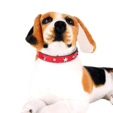 Star Studded Dog Collar for Small Dogs Leather Puppy Neck Strap Cat Collar Adjustable Pet Collars Dog Neck Supplies Accessories