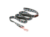 Unique Style Paws Dog Collars or Leash Flower Print with Sturdy Cotton Tape Collar for Pets