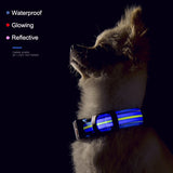 Waterproof LED Dog Collar Original Magnetic Charging Glowing Collar Anti-Lost Pet Product For Dogs Cats Reflective Pet Supplies