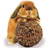 ssss  Woven Grass Pet Odontoprisis Ball Toy Dog Spherical Hay Rabbit Cat