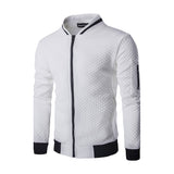 Herrn Alltag / Wochenende Aktiv Frühling / Sommer / Herbst Standard Jacke, Patchwork Schwarz & Weiß Ständer Langarm Polyester Grau / Hellgrau / Wein / Winter - app80