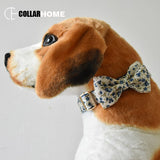 soft dog collar leash set with bow tie for small medium large dog solid gold metal buckle quick release and locking manufacturer